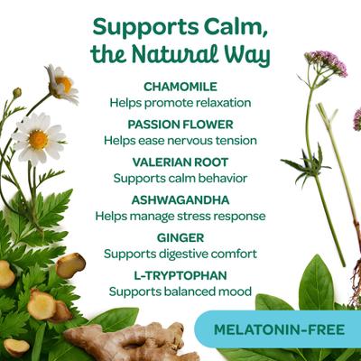 Relaxation Turkey Flavor Calming Chew Supplement for Dogs, 6.3-oz bag