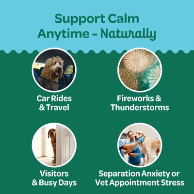 Relaxation Turkey Flavor Calming Chew Supplement for Dogs, 6.3-oz bag