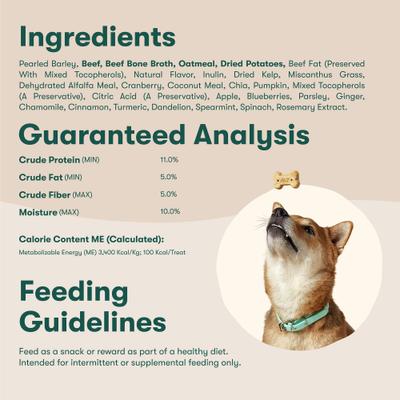 Beef & Bone Broth Biscuits Crunchy Dog Treats, 48-oz bag