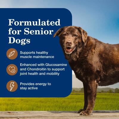 Homestyle Recipe Senior 7+ Turkey & Vegetable Dinner Pate Canned Wet Dog Food, 12.5-oz can, case of 12