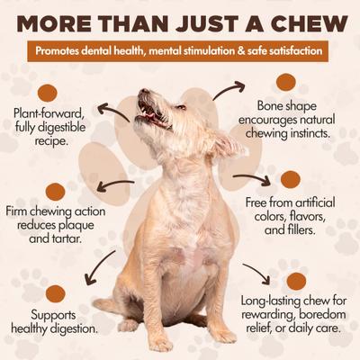 Chewka Chicken Flavored Plant-Forward Fully Digestible Dog Chew Bone, Medium, 1 count