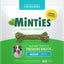 Medium Mint Flavored Dental Treats for Dogs, 25-50 lbs, 16-oz, 20 count