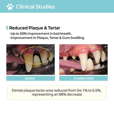 Pofi Pet Film Strip Oral Health Dental Supplement for Dogs, 90-mg pouch, 30 count