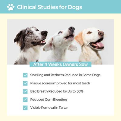 Pofi Pet Film Strip Oral Health Dental Supplement for Dogs, 90-mg pouch, 30 count