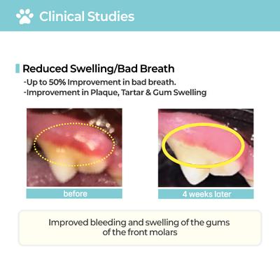 Pofi Pet Film Strip Oral Health Dental Supplement for Dogs, 90-mg pouch, 30 count