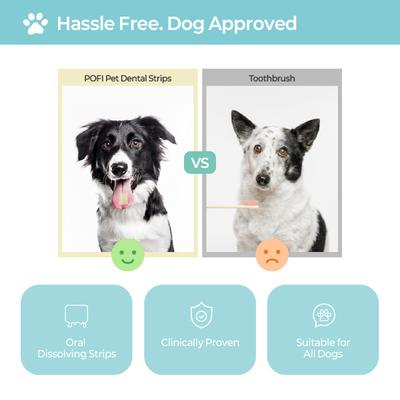 Pofi Pet Film Strip Oral Health Dental Supplement for Dogs, 90-mg pouch, 30 count