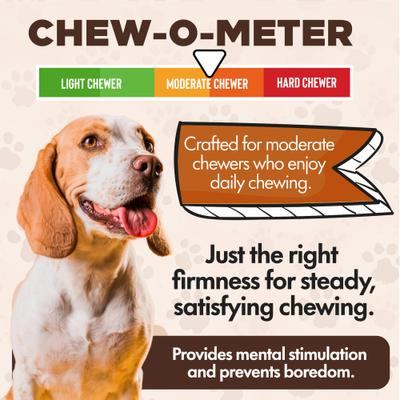 Chewka Bacon Flavored Plant-Forward Fully Digestible Dog Chew Bone, Large, 6 count