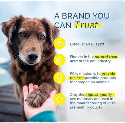 Beef Jerky Dog Treats, 4-oz bag