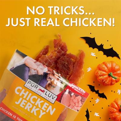 Whole Muscle Chicken Jerky Dog Treats, 16-oz pouch