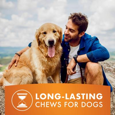 K9 Kabob Real Chicken & Sweet Potato Dog Treats, 12-oz bag