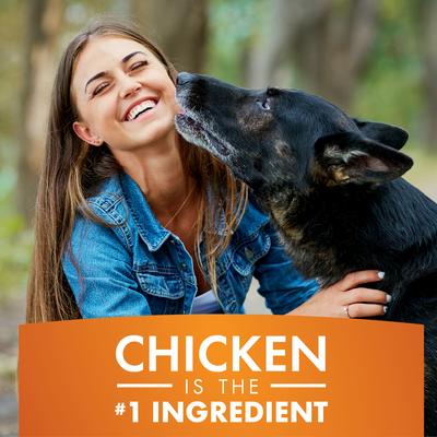 K9 Kabob Real Chicken & Sweet Potato Dog Treats, 12-oz bag