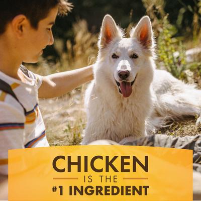 K9 Kraves Peanut Butter Dog Treats, 20 count