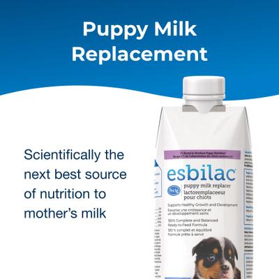 Esbilac Puppy Milk Replacer Liquid Supplement, 16-fl oz