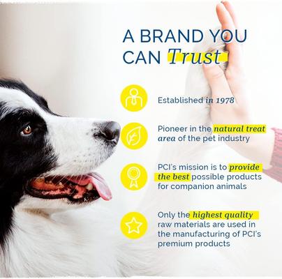 Chicken Fillet Dog Treats, 6-oz bag