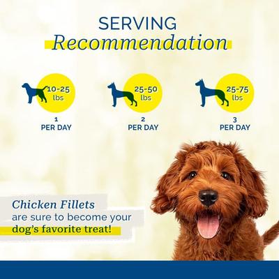 Chicken Fillet Dog Treats, 6-oz bag