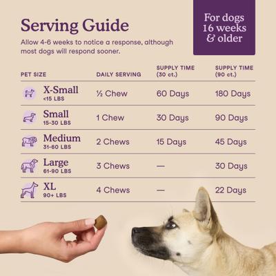 Calming Soft Chews Supplement for Dogs, 90 count