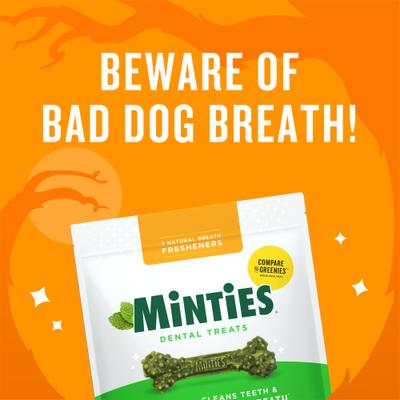 Large Mint Flavored Dental Dog Treats 50+ lbs, 48-oz bag, 36 count