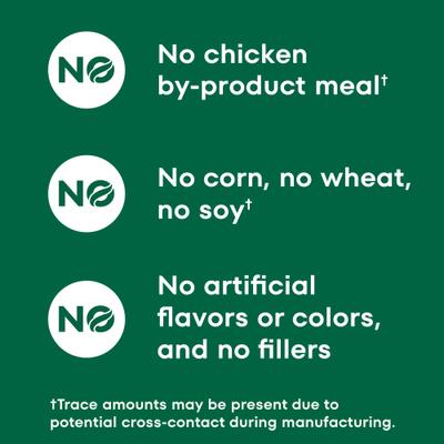 Crunchy with Real Mixed Berries Dog Treats, 10-oz bag