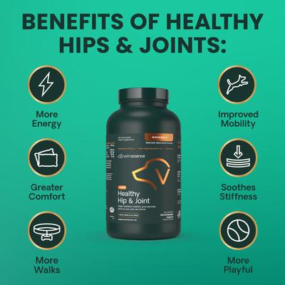 GlycoFlex 2 Healthy Hip & Joint Chicken Flavored Chewable Tablets Supplement for Dogs, 120 count