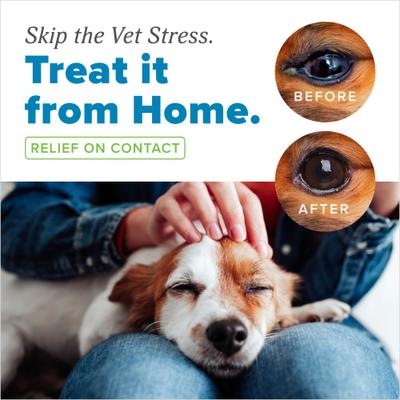 HomeVet Soothing Dog & Cat Eye Wash, 4-fl oz bottle