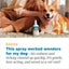 HomeVet Itch & Allergy Dog & Cat Spray, 8-fl oz bottle