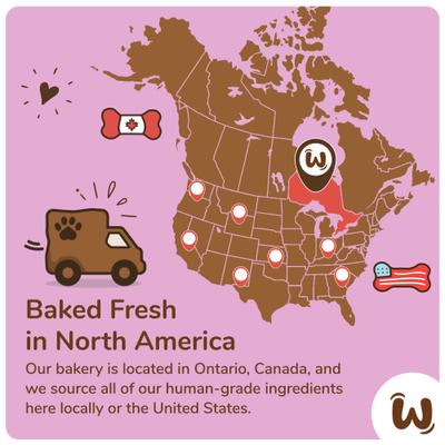 Will Do Tricks for Treats Cookies Dog Crunchy Treats, 4-oz bag, 4 count