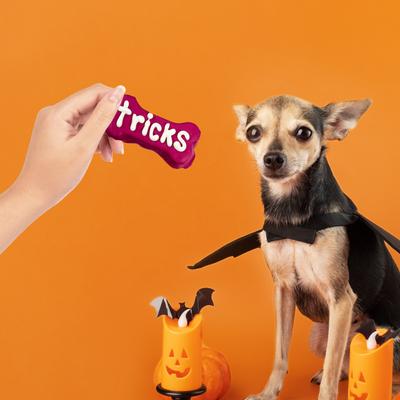 Will Do Tricks for Treats Cookies Dog Crunchy Treats, 4-oz bag, 4 count
