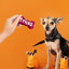 Galletas crujientes para perros Will Do Tricks for Treats, bolsa de 4 oz, 4 unidades