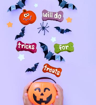 Spooked Jack-o-Lantern Cookies Dog Crunchy Treats, 4-oz bag, 3 count