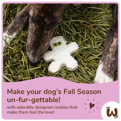 Ur My Boo Cookies Dog Crunchy Treats, 4.2-oz bag, 2 count