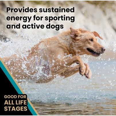 Alimento seco para perros Hi-Pro Plus 30/20 Active Sporting, alto en proteínas y sin gluten, bolsa de 22,7 kg