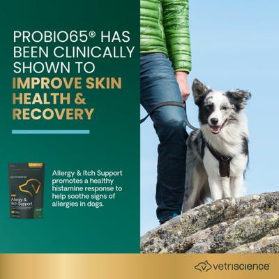 Allergy & Itch Support Duck Flavored Allergy Plus Skin & Immune Supplement for Dogs, 75 Count