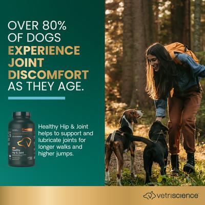 GlycoFlex 2 Healthy Hip & Joint Chicken Flavored Chewable Tablets Supplement for Dogs, 120 count