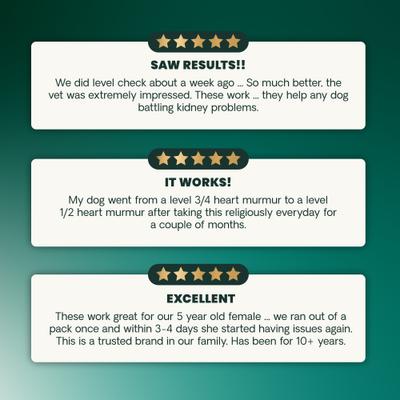 Renal Essentials Kidney Health Smoke Flavored Chewable Tablets Supplement for Dogs, 60 count