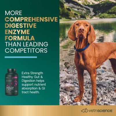 Probiotic BD Chicken Flavored Chewable Tablets Digestive Supplement for Dogs, 120 count