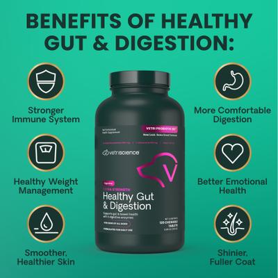 Probiotic BD Chicken Flavored Chewable Tablets Digestive Supplement for Dogs, 120 count