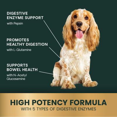 Probiotic BD Chicken Flavored Chewable Tablets Digestive Supplement for Dogs, 120 count