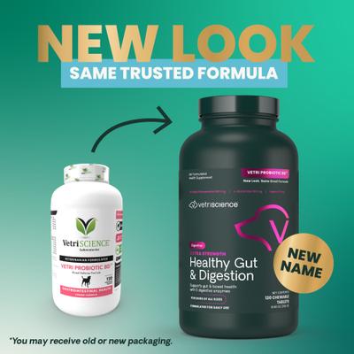 Probiotic BD Chicken Flavored Chewable Tablets Digestive Supplement for Dogs, 120 count