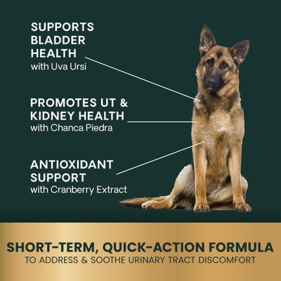 UT Strength Smoke Flavored Chewable Tablet Urinary Supplement for Dogs, 90 count
