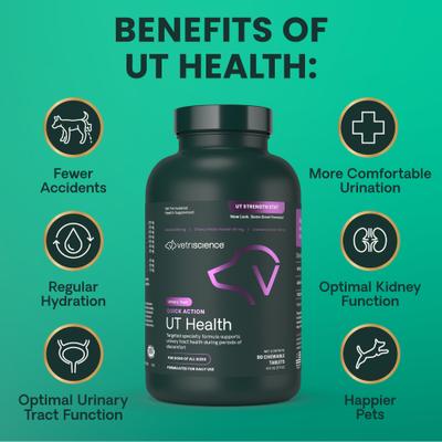 UT Strength Smoke Flavored Chewable Tablet Urinary Supplement for Dogs, 90 count