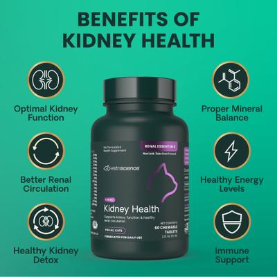 Renal Essentials Chicken & Fish Flavored Chewable Tablets Kidney Supplement for Cats, 60 count