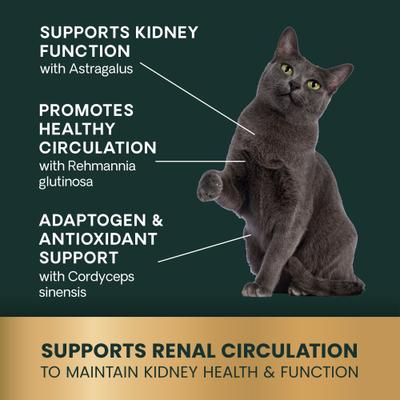 Renal Essentials Chicken & Fish Flavored Chewable Tablets Kidney Supplement for Cats, 60 count