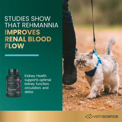 Renal Essentials Chicken & Fish Flavored Chewable Tablets Kidney Supplement for Cats, 60 count