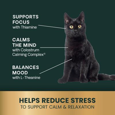 Composure Unflavored Liquid Calming & Anxiety Supplement for Dogs & Cats, 8-fl oz bottle