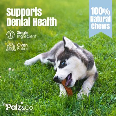 Lambdog Lamb Grain-Free Jerky Dog Treats, 8-oz bag, 10 count