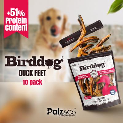 Birddog Duck Feet Dog Natural Chew Treats, 6-oz bag, 10 count