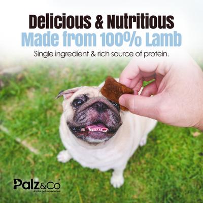 Lambdog Lamb Grain-Free Soft & Chewy Bites Dog Treats, 6-oz bag