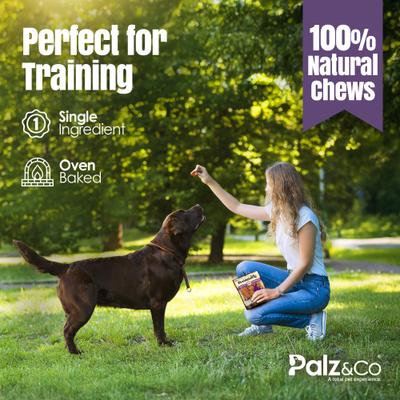 Rabbitdog Rabbit Grain-Free Soft & Chewy Bites Dog Treats, 6-oz bag