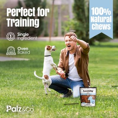 Lambdog Lamb Grain-Free Soft & Chewy Bites Dog Treats, 6-oz bag