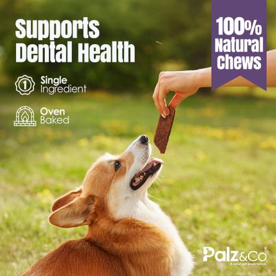 Rabbitdog Rabbit Grain-Free Jerky Dog Treats, 8-oz bag, 10 count